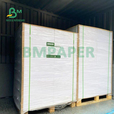 210gsm+15gsm কাপ PE ফিল্ম প্রলিপ্ত কাগজ ভালো উজ্জ্বলতা 615mm X 850mm