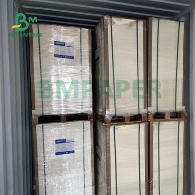 স্যুপ বোলের জন্য 230gsm+15gsm স্থায়িত্ব PE প্রলিপ্ত কাপ স্টক পেপার 560mm X 700mm
