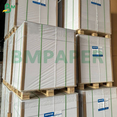 ব্রাউন ডিসপোজাল কফি ফিল্টার পেপার 100 Count 2-4 কাপ Ripple Paper