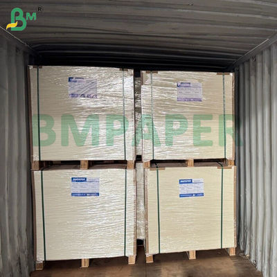 210gsm 220gsm কিট 6 গ্রাসপ্রুফ বোর্ড ফুড কন্টেইনারের জন্য 24 x 36 ইঞ্চি জলরোধী