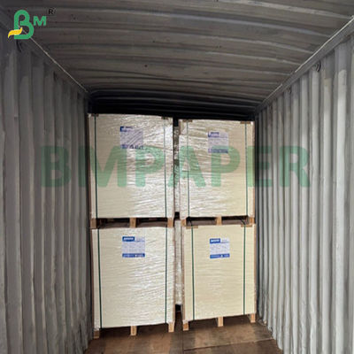 240gsm +15PE ম্যাট কাপস্টক পেপার, যা পপকর্ন বালতি তৈরির জন্য ব্যবহৃত হয়, ৬১ X ৮৬ সেমি