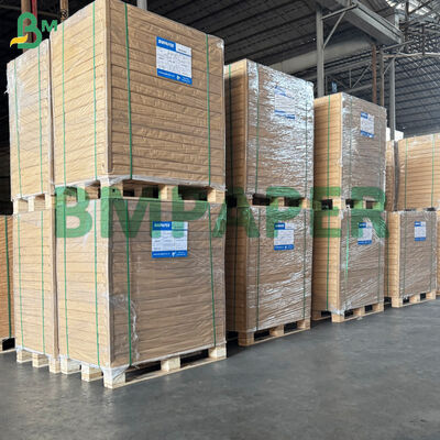 পেট কোটিং পেপারবোর্ড তাপ প্রতিরোধী ডিসপোজেবল পেপার প্লেটের জন্য