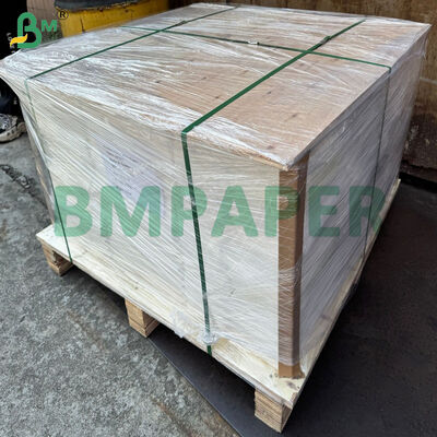 ফুড গ্রেড বেকড পারগমেন্ট লেইস ডুইলস পেপার 50 গ্রাম বেকিং মফিন পেপার কাপের জন্য