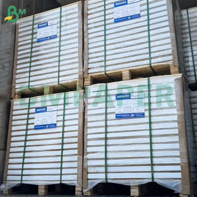 210gsm দুই পক্ষের চকচকে সি 2 এস আর্ট প্রিন্টিং পেপার রোলস 31 * 43 ইঞ্চি