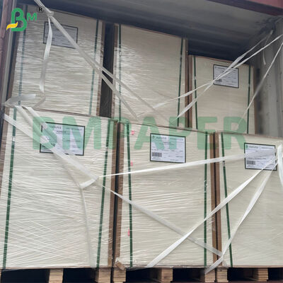 300gsm আনব্লিচড আখের ব্যাগাস পাল্প পেপার শিট বায়োডিগ্রেডেবল সার্টিফাইড 787 মিমি X 1092 মিমি