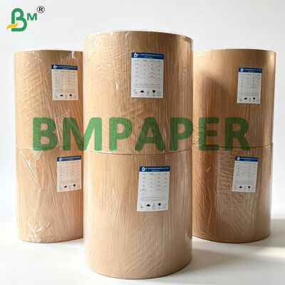 উচ্চ ভেজা শক্তি সহ টর্টিলা র‍্যাপ পেপার, 25gsm 30gsm এবং 36 ইঞ্চি রোল