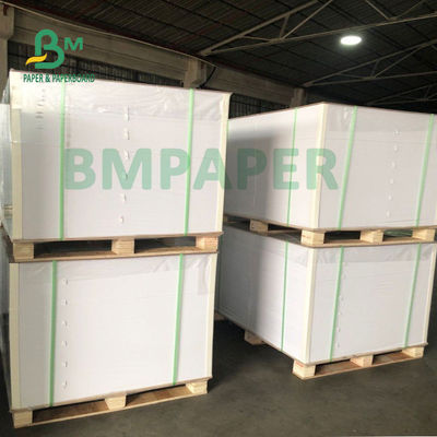 সিঙ্গেল সাইড PE প্রলিপ্ত কাপ কাগজ 180gsm + 15gsm ভাল নমনীয়তা সহ