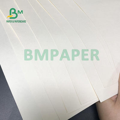 230gsm + 18gsm কাপ স্টক পেপার বোর্ড নুডল বাটির জন্য নিরাপদ কোন গন্ধ বিশেষ