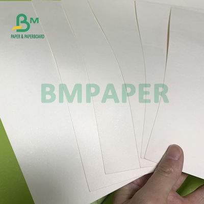 230gsm + 18gsm কাপ স্টক পেপার বোর্ড নুডল বাটির জন্য নিরাপদ কোন গন্ধ বিশেষ