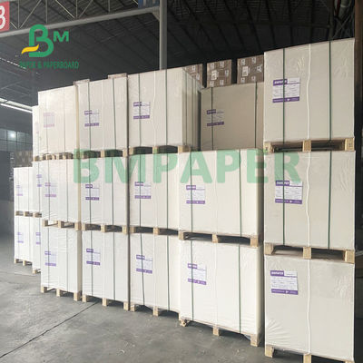 230gsm + 18gsm কাপ স্টক পেপার বোর্ড নুডল বাটির জন্য নিরাপদ কোন গন্ধ বিশেষ