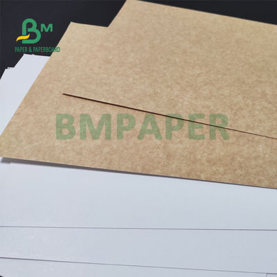 325gsm ইউনিফর্ম সাদা প্রলিপ্ত ক্রাফট ব্যাক পেপার প্যাকিং রুটি 70 X 100 সেমি