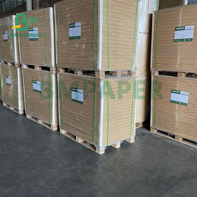 325gsm ইউনিফর্ম সাদা প্রলিপ্ত ক্রাফট ব্যাক পেপার প্যাকিং রুটি 70 X 100 সেমি