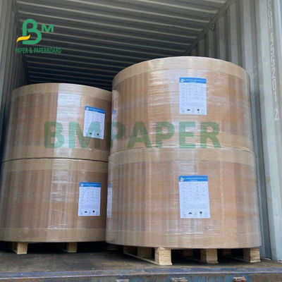 270gsm হোয়াইট ফ্রিজার পেপার রোল বোর্ড ফ্রেশ ফুড প্যাকেজিংয়ের জন্য হাই বাল্ক 30 X 22.5"