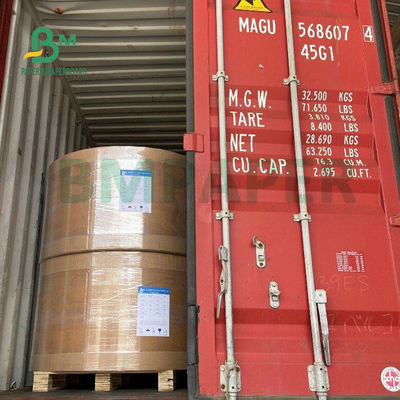 250gsm 300gsm C1S Kraft Back Coated Duplex Board for Salad Box Food Safe