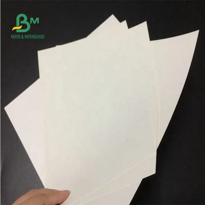 ভার্জিন হোয়াইট ক্রাফট পেপার রোল 24 X 35 ইঞ্চি 150gsm 170gsm 190gsm কাগজের ব্যাগের জন্য