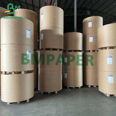 FBB SBS আইভরি বোর্ড 200gsm থেকে 400gsm 750mm 900mm জাম্বো রোলস