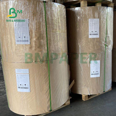210gsm +15g PE লেমিনেটেড কার্ডবোর্ড পেপার কাপের জন্য ফুড গ্রেড 882 মিমি