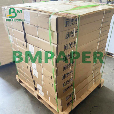 55 GSM থার্মাল রসিদ প্রিন্টার পেপার রোলস BPA বিনামূল্যে POS এর জন্য