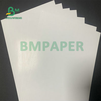 C2S গ্লসি আর্ট পেপার বোর্ড 300gsm 350gsm ম্যাগাজিন মুদ্রণের জন্য