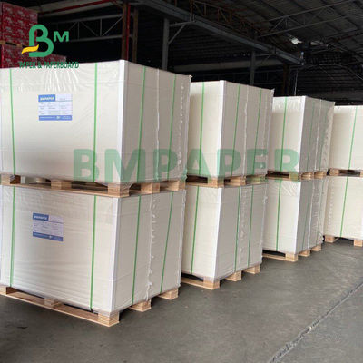 ফুড গ্রেড 135gsm+10gsm PE প্রলিপ্ত কাপ পেপার গ্লস এবং ম্যাট ফিনিশ