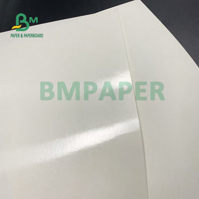 ফুড গ্রেড 135gsm+10gsm PE প্রলিপ্ত কাপ পেপার গ্লস এবং ম্যাট ফিনিশ