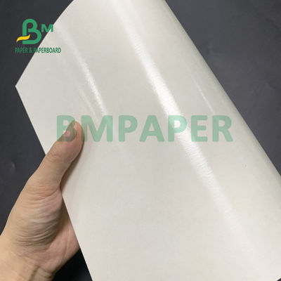 ফুড গ্রেড 135gsm+10gsm PE প্রলিপ্ত কাপ পেপার গ্লস এবং ম্যাট ফিনিশ
