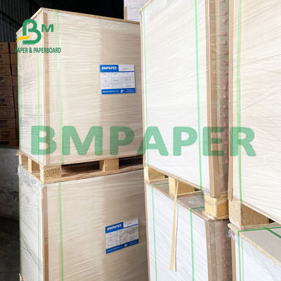 ফুল চাপার জন্য 8.26 x 11.8 ইঞ্চি উচ্চ শোষণকারী ব্লটার পেপার