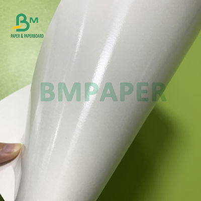 210gsm+15gsm কাপ PE ফিল্ম প্রলিপ্ত কাগজ ভালো উজ্জ্বলতা 615mm X 850mm