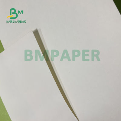 210gsm+15gsm কাপ PE ফিল্ম প্রলিপ্ত কাগজ ভালো উজ্জ্বলতা 615mm X 850mm