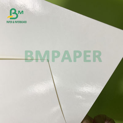 স্যুপ বোলের জন্য 230gsm+15gsm স্থায়িত্ব PE প্রলিপ্ত কাপ স্টক পেপার 560mm X 700mm