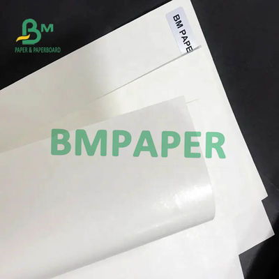 হোয়াইট কাপ স্টক পেপার রোল 200gsm + 15PE সিঙ্গেল সাইড পেপার কাপের জন্য প্রলিপ্ত