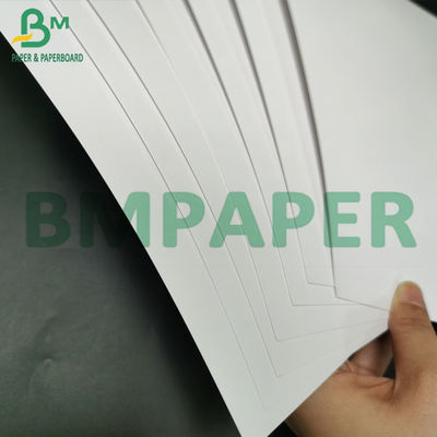 350 গ্রাম উচ্চ বাল্ক ফোল্ডিং কাটিং বোর্ড FBB SBS আইভরি কার্ড শীট প্যাকিং