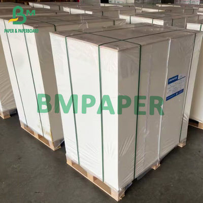 635 মিমি প্রস্থ FBB বোর্ড 275g 300g GC1 ব্লিচ কার্ডবোর্ড ফোল্ডিং বক্স পেপার রোলস