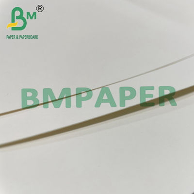 গরম খাবারের জন্য 180gsm + 15g PE নুডল বাটি কাপ স্টক পেপার বোর্ড