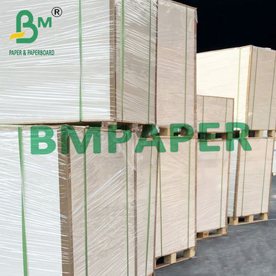 গরম খাবারের জন্য 180gsm + 15g PE নুডল বাটি কাপ স্টক পেপার বোর্ড