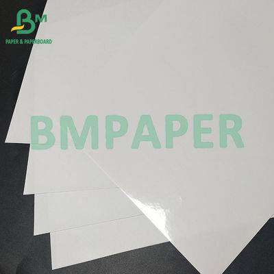 উচ্চ আর্দ্রতা প্রতিরোধের বিয়ার বোতল লেবেল এবং পানীয় লেবেল জন্য ভিজা শক্তি কাগজ