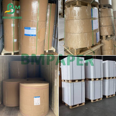 35gsm 40gsm তেল সুরক্ষা কাগজ রোলস মধ্যে সাদা greaseproof কাগজ খাদ্য প্যাকেজিং জন্য কাস্টমাইজড আকার