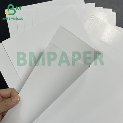 54" * 300ft 80gsm ভাল কালি শোষণকারী চকচকে লেপা C2S টেক্সট পেপার