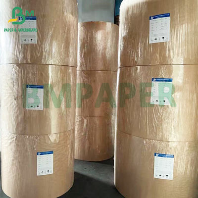 একক পিই লেপযুক্ত লাঞ্চ বক্স বোর্ড সাদা সাদা খাদ্য প্যাকেজিং জন্য
