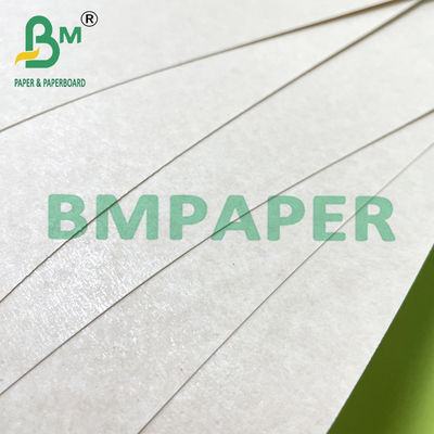 90 ~ 360gsm পরিবেশ বান্ধব চিনির ধান ফাইবার কাগজ একবার ব্যবহারযোগ্য কাপ জন্য