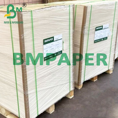 90 ~ 360gsm পরিবেশ বান্ধব চিনির ধান ফাইবার কাগজ একবার ব্যবহারযোগ্য কাপ জন্য