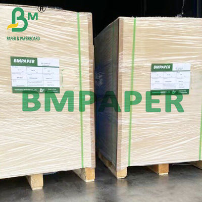 90 ~ 360gsm পরিবেশ বান্ধব চিনির ধান ফাইবার কাগজ একবার ব্যবহারযোগ্য কাপ জন্য