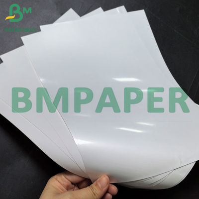 220gm টপ লেপড থার্মাল সিন্থেটিক পেপার