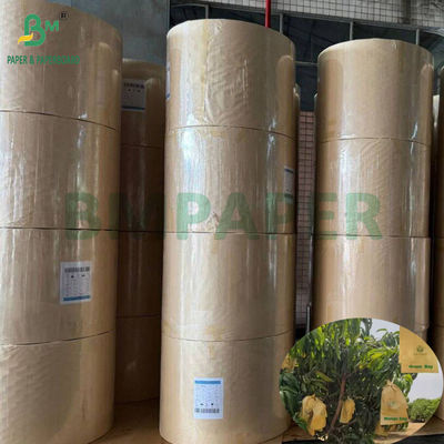 মঙ্গো চাষের সুরক্ষা ব্যাগ চকচকে 30gsm অভ্যন্তরীণ কালো কাগজ রোল সানপ্রুফ