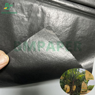 মঙ্গো চাষের সুরক্ষা ব্যাগ চকচকে 30gsm অভ্যন্তরীণ কালো কাগজ রোল সানপ্রুফ