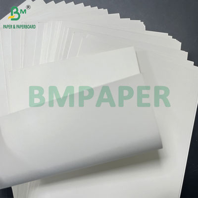 পুনর্ব্যবহারযোগ্য মসৃণ 350 গ্রাম + 20 গ্রাম একপাশের পিই লেপা সাদা ফুডবোর্ড 900 মিমি