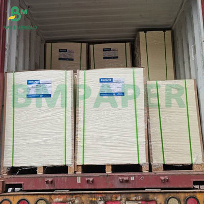 গ্রেড 3 ফুড ট্রে লিনার পেপার 35gsm 40gsm গ্রাস প্রতিরোধী কাগজ