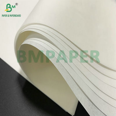 600 মিমি রোল প্রস্থ 25gsm 30gsm সাদা ক্রাফট কাগজ কেক বেকিং কাগজ জন্য