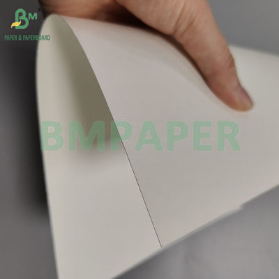 গরম/শীতল পানীয় পান করার জন্য 230gsm+18pe এককালীন P2S ম্যাট কাপের কাগজ