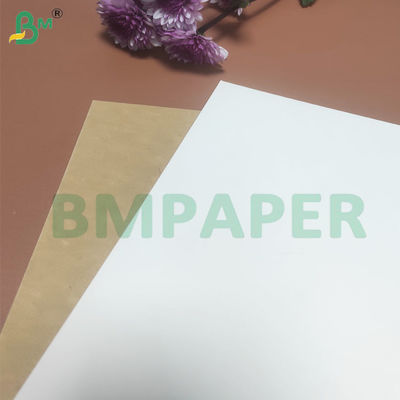135-350 জিএসএম উচ্চ শক্ততা খাদ্য পাত্রে কাগজের রোল